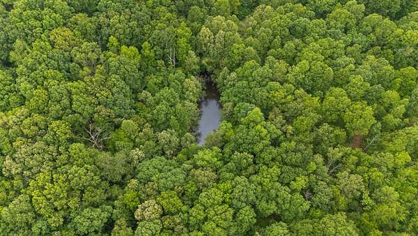 70.8 Acres of Land for Sale in Nunnelly, Tennessee