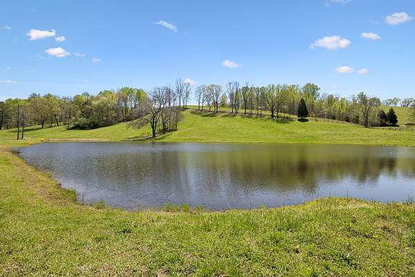 203 Acres of Land for Sale in Lynnville, Tennessee