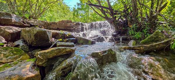 49.5 Acres of Land for Sale in Jumping Branch, West Virginia