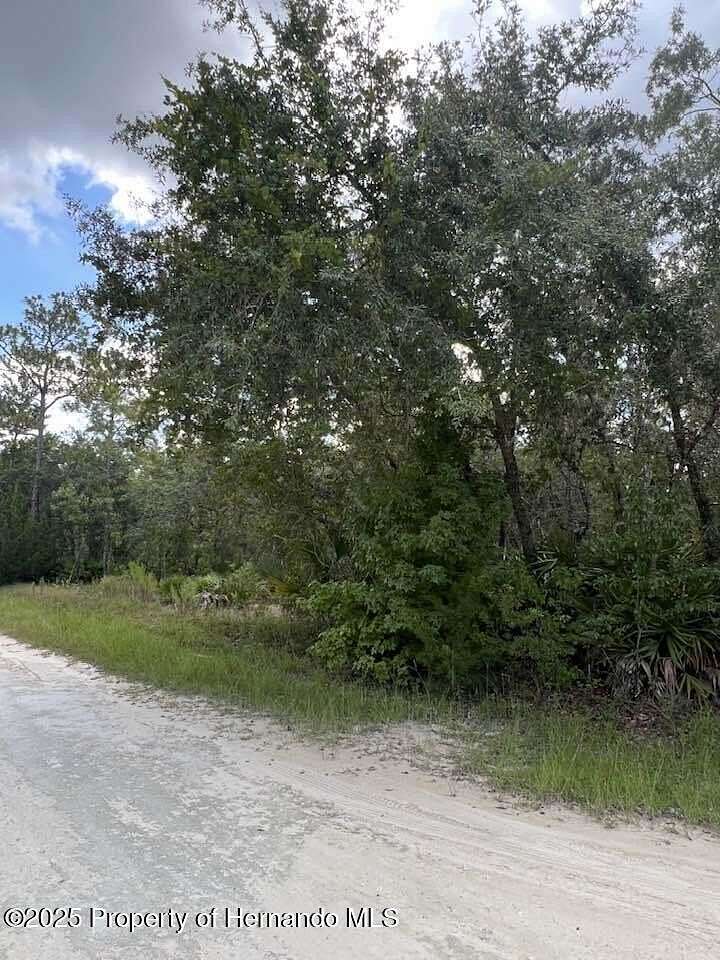 1.2 Acres of Residential Land for Sale in Weeki Wachee, Florida
