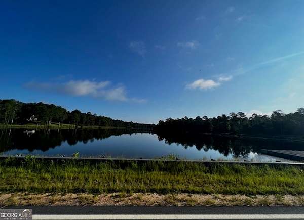29 Acres of Recreational Land for Sale in Butler, Georgia