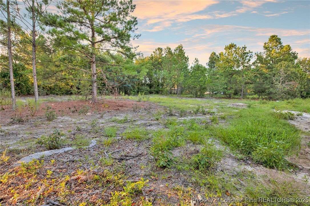 0.58 Acres of Residential Land for Sale in Cameron, North Carolina