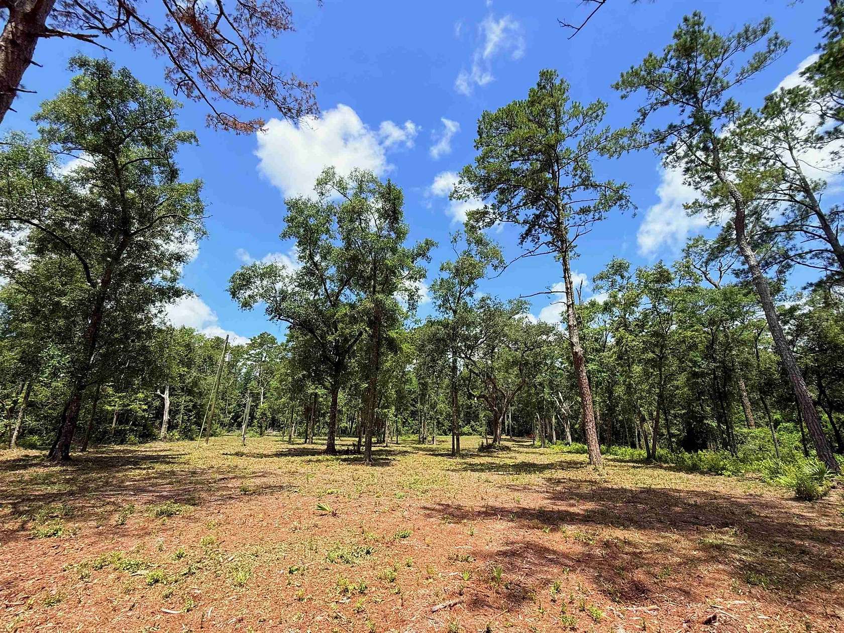 5 Acres of Land for Sale in Greenville, Florida