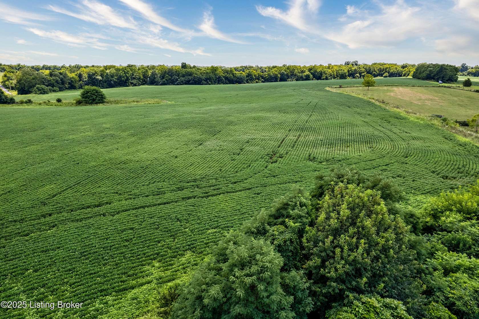 5 Acres of Land for Sale in Pleasureville, Kentucky