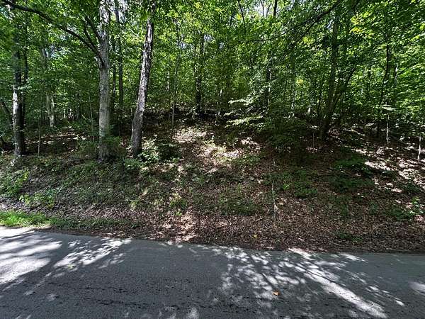 25 Acres of Recreational Land for Sale in Garrison, Kentucky