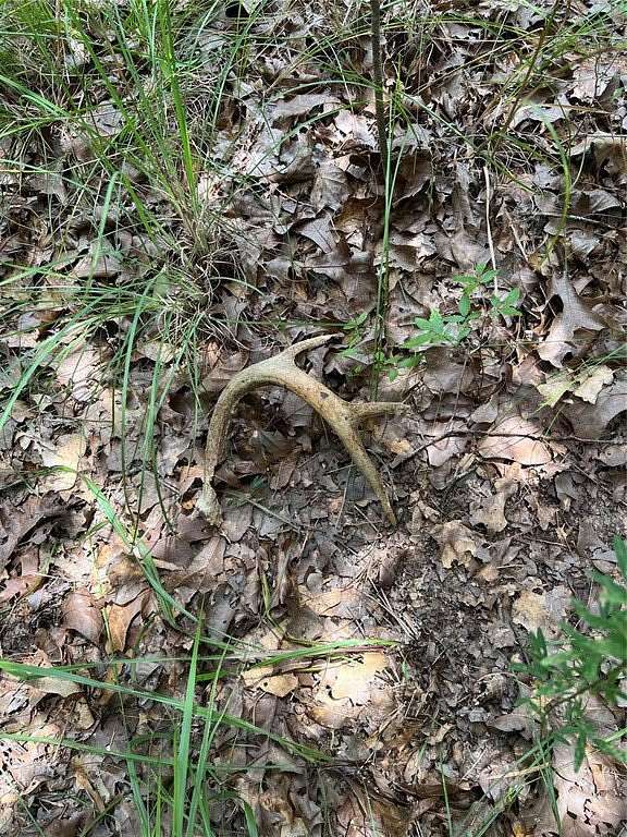 80 Acres of Recreational Land for Sale in Tecumseh, Oklahoma