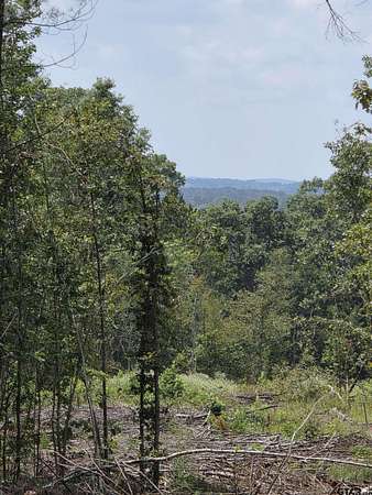 37.5 Acres of Recreational Land for Sale in Mount Enterprise, Texas