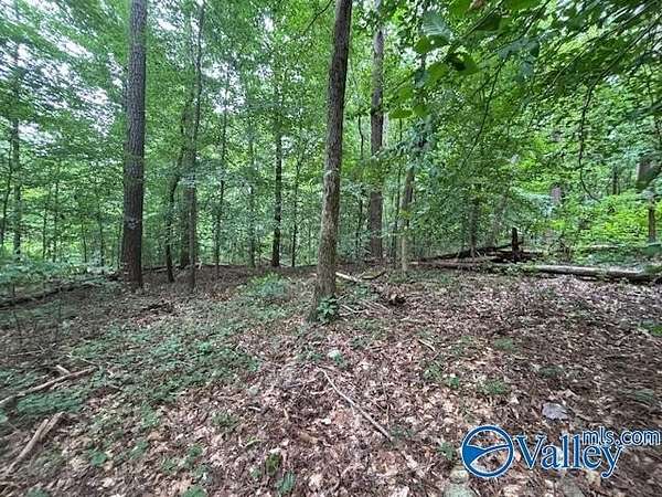5.5 Acres of Residential Land for Sale in Reece City, Alabama