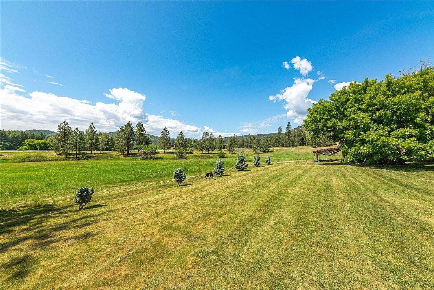 20 Acres of Land with Home for Sale in Chewelah, Washington
