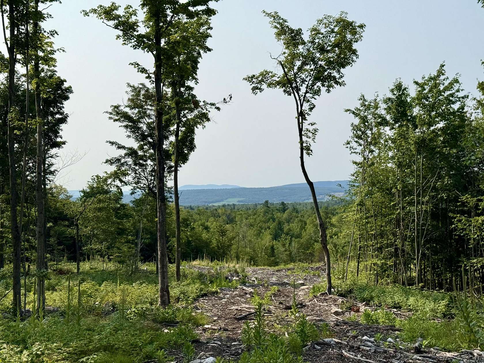 83.7 Acres of Recreational Land for Sale in Dannemora, New York