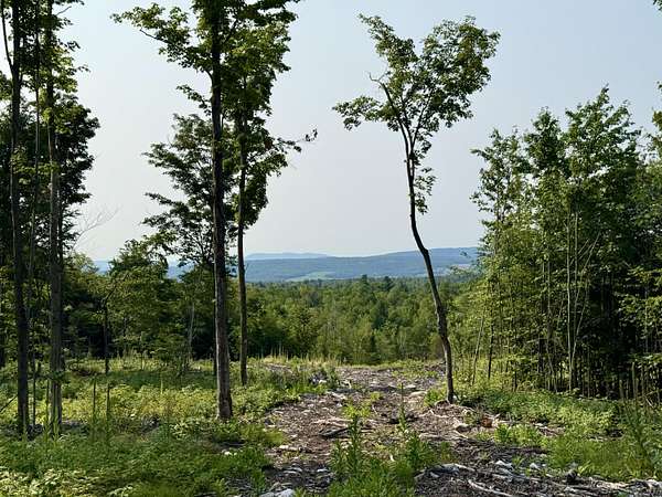 83.7 Acres of Recreational Land for Sale in Dannemora, New York