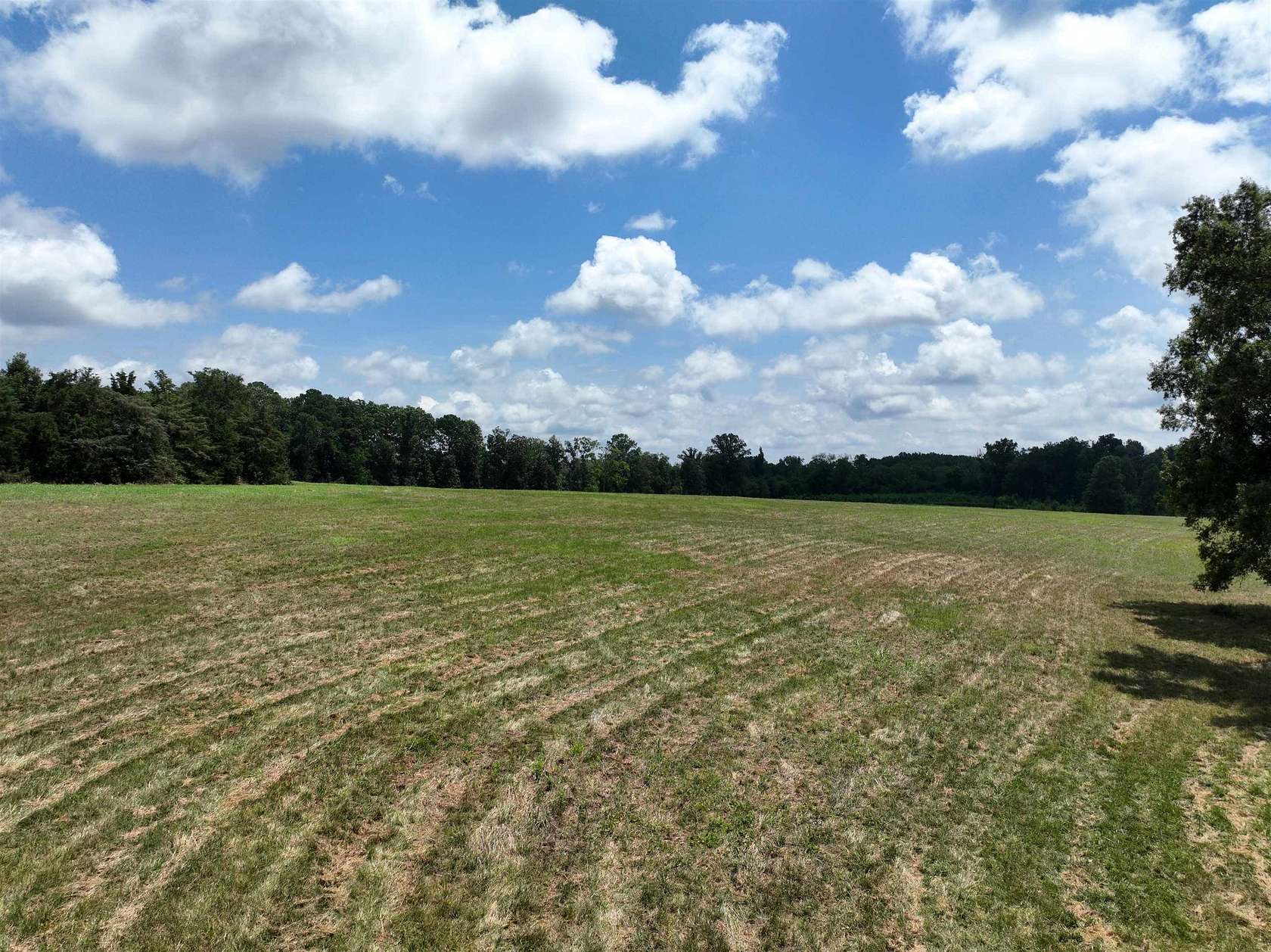 50 Acres of Agricultural & Residential Land for Sale in McConnells, South Carolina
