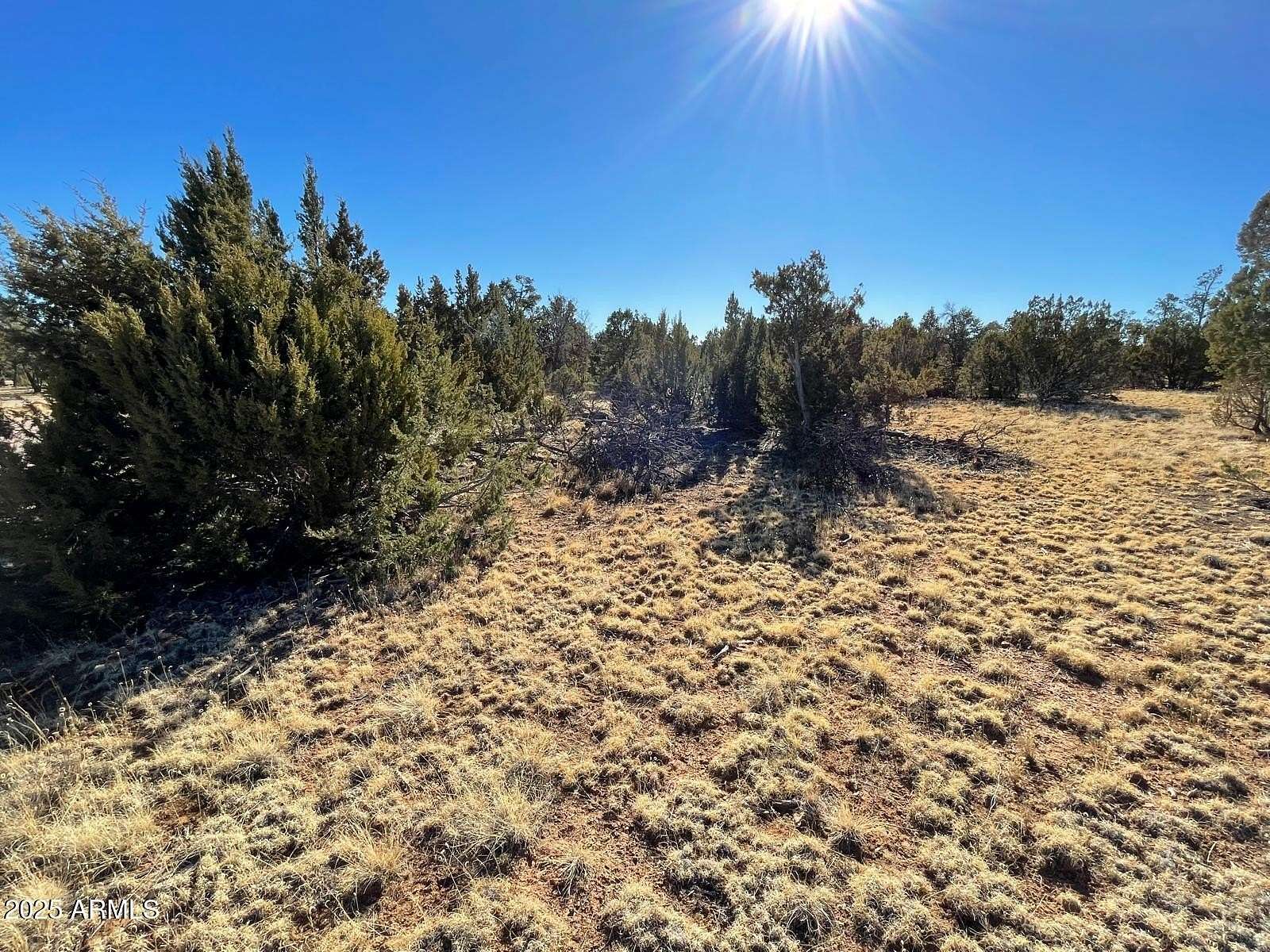 5.53 Acres of Residential Land for Sale in Happy Jack, Arizona