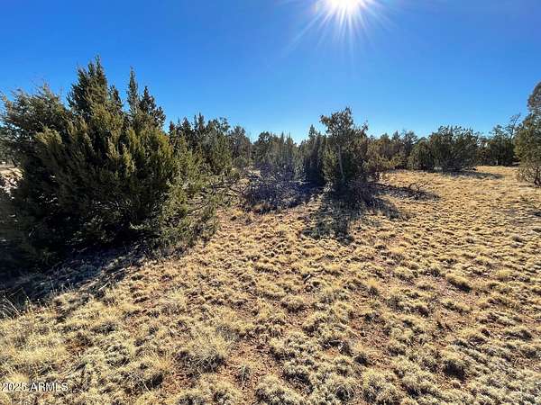 5.53 Acres of Residential Land for Sale in Happy Jack, Arizona