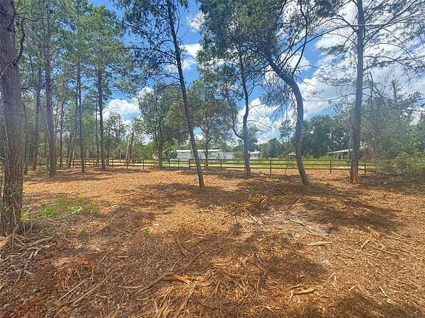 0.43 Acres of Residential Land for Sale in Paisley, Florida