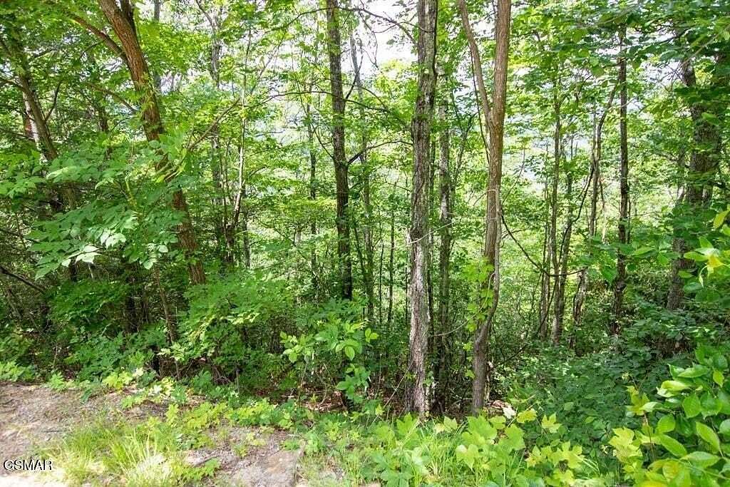 1.1 Acres of Residential Land for Sale in Gatlinburg, Tennessee
