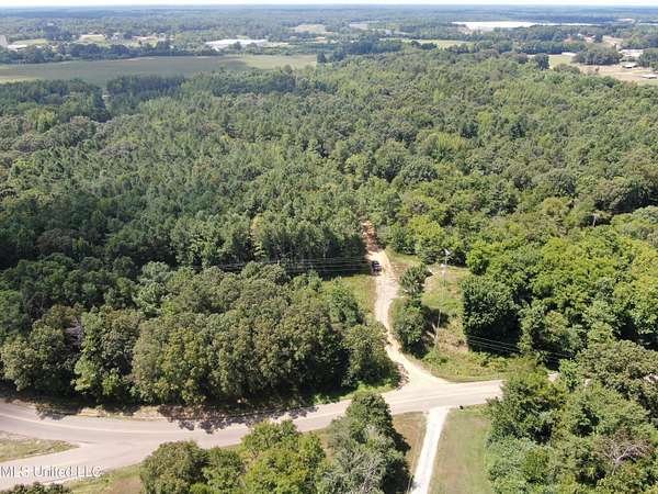 193 Acres of Recreational Land for Sale in Byhalia, Mississippi