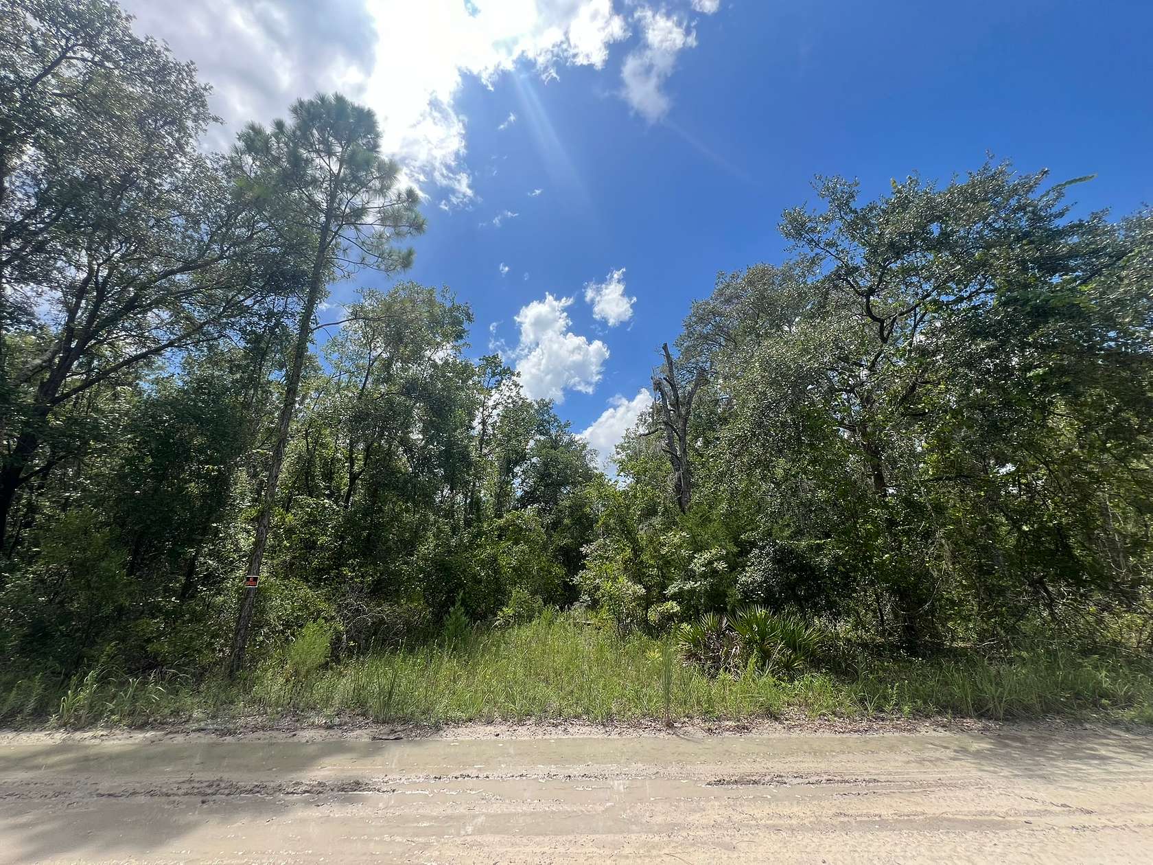 1 Acre of Residential Land for Sale in Bell, Florida