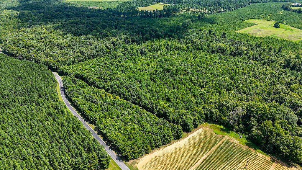 13 Acres of Land for Sale in Nelson, Virginia