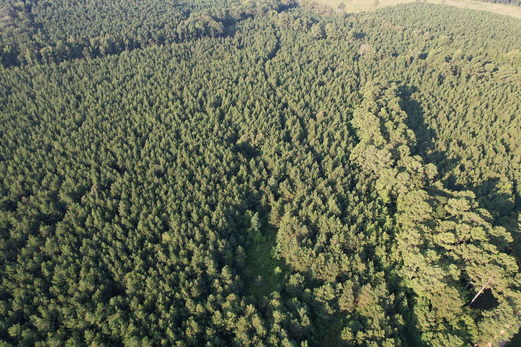 40 Acres of Land for Sale in Banks, Arkansas