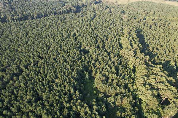 40 Acres of Land for Sale in Banks, Arkansas