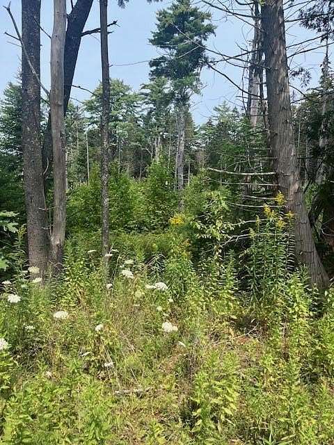 1.12 Acres of Residential Land for Sale in Waldoboro, Maine