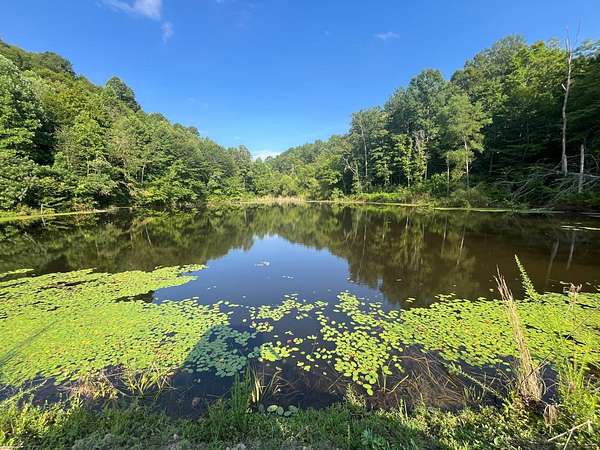 104 Acres of Recreational Land for Sale in Columbia, Kentucky