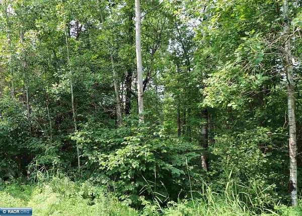 40 Acres of Recreational Land for Sale in Aurora, Minnesota