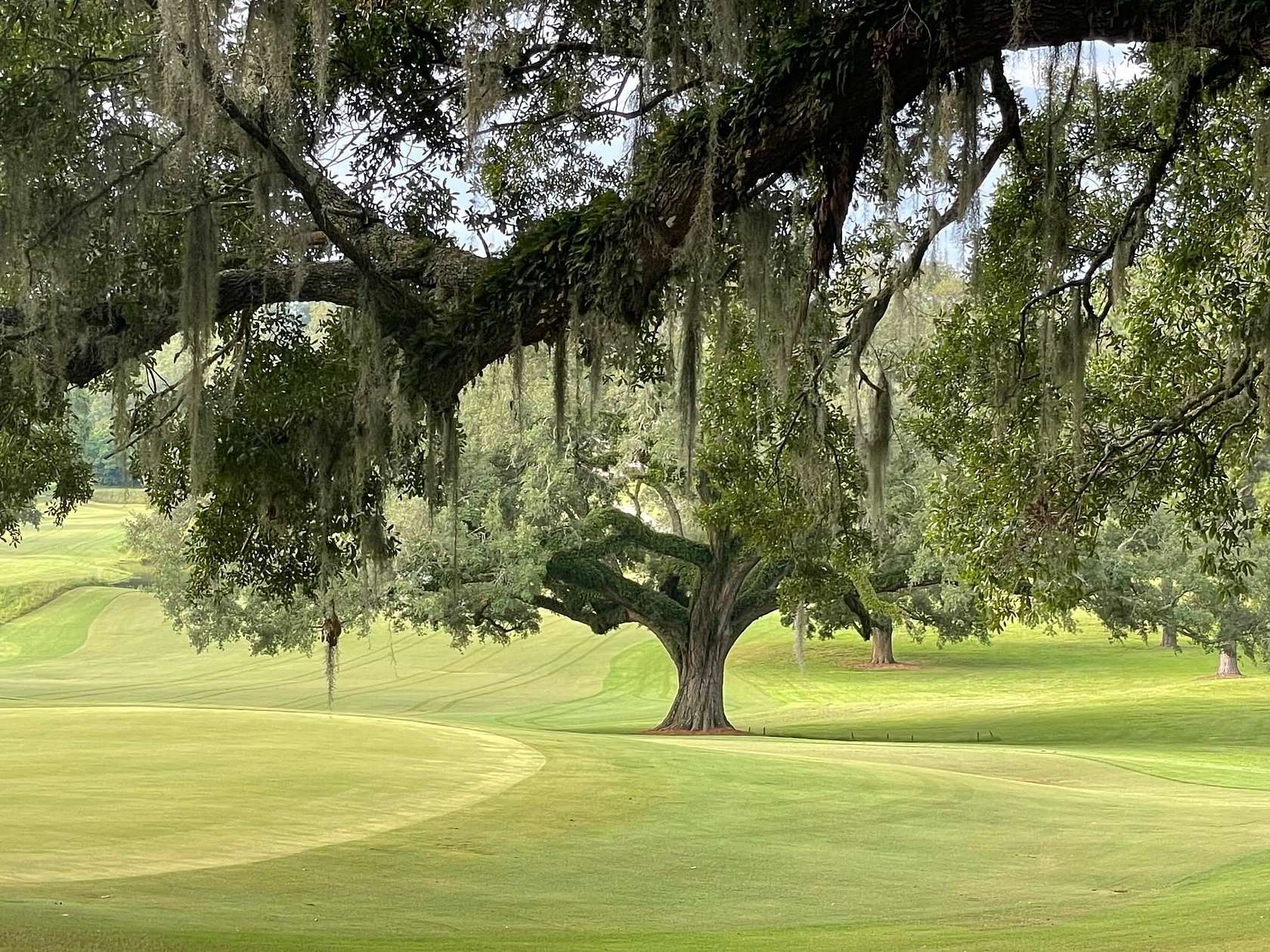 0.6 Acres of Residential Land for Sale in Tallahassee, Florida