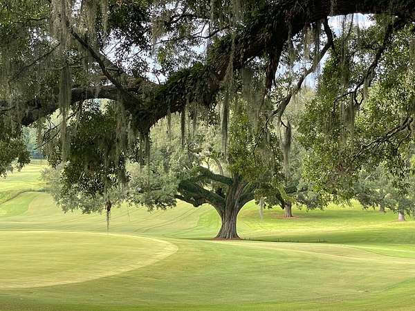 0.6 Acres of Residential Land for Sale in Tallahassee, Florida