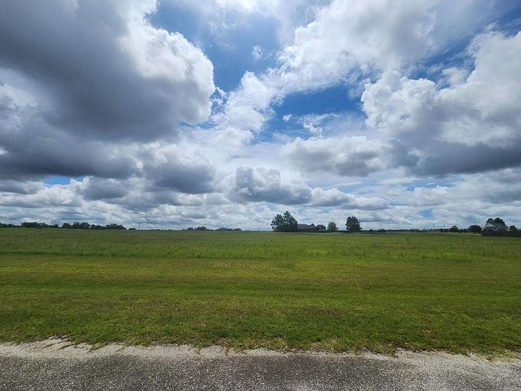 0.95 Acres of Residential Land for Sale in Colquitt, Georgia