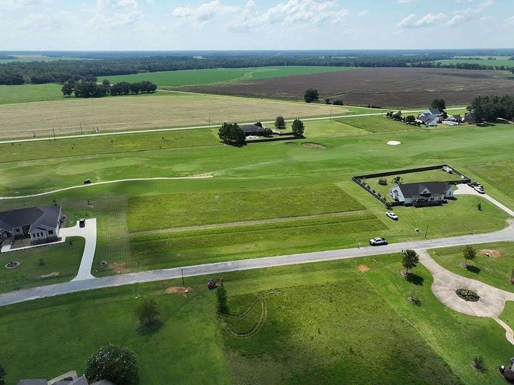 0.95 Acres of Residential Land for Sale in Colquitt, Georgia