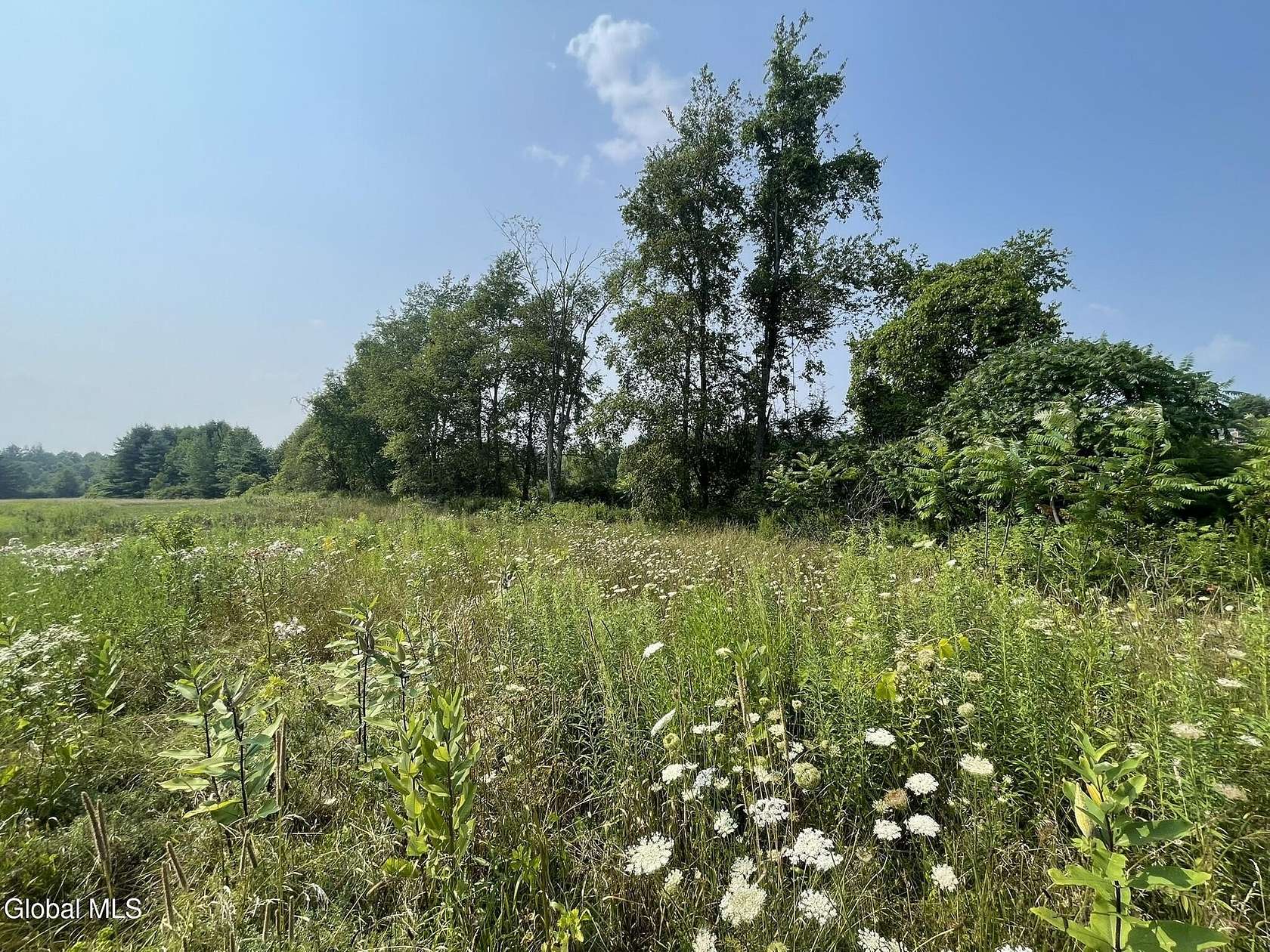 8 Acres of Residential Land for Sale in Charlton, New York