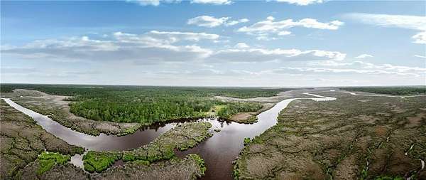 2,975 Acres of Recreational Land for Sale in Brunswick, Georgia