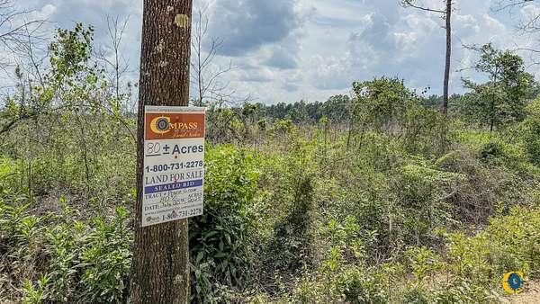 80 Acres of Recreational Land for Sale in Monticello, Arkansas