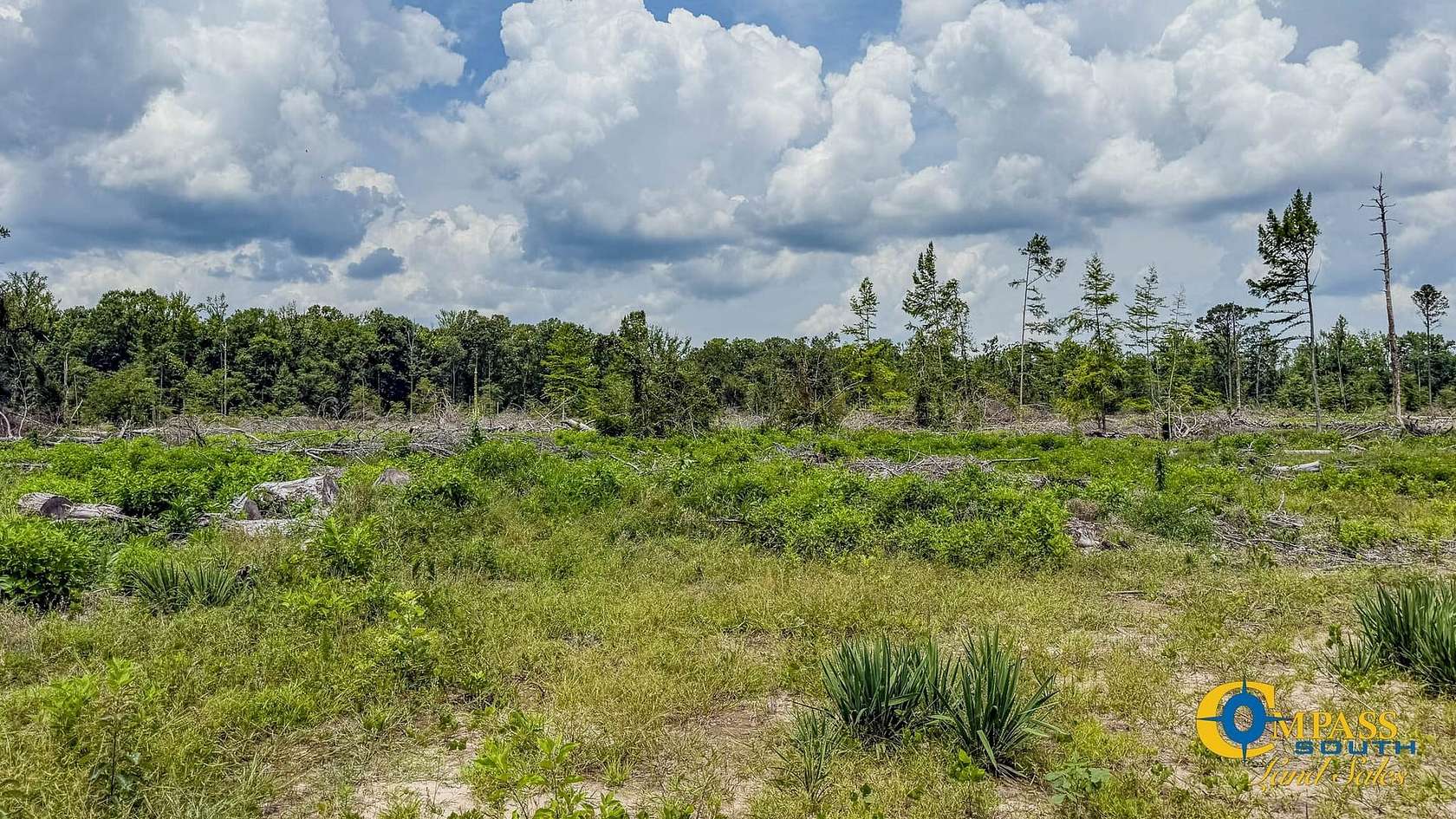 40 Acres of Recreational Land for Sale in Jersey, Arkansas