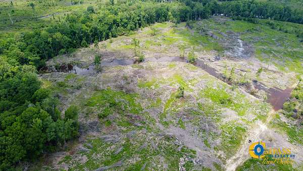 40 Acres of Land for Sale in Jersey, Arkansas