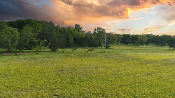28.6 Acres of Land for Sale in Mount Juliet, Tennessee