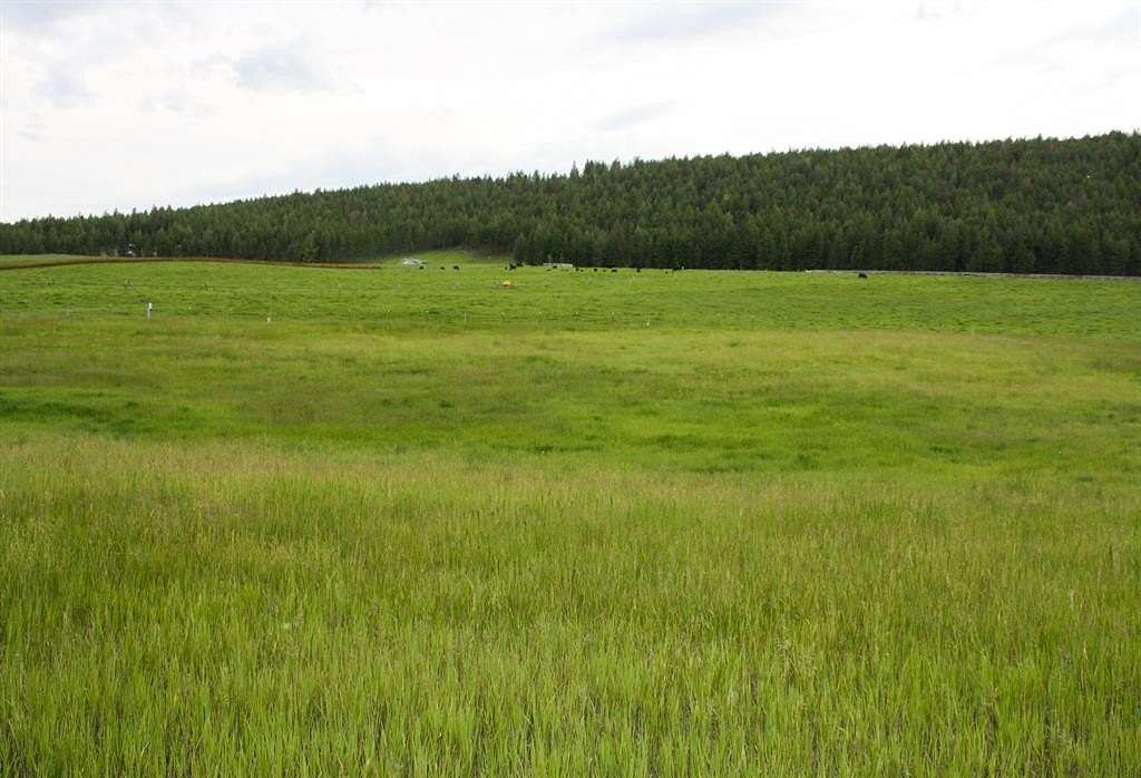 1.84 Acres of Residential Land for Sale in Rexford, Montana
