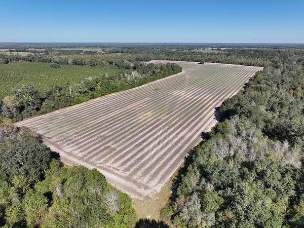 358 Acres of Improved Recreational Land & Farm for Sale in Marianna, Florida