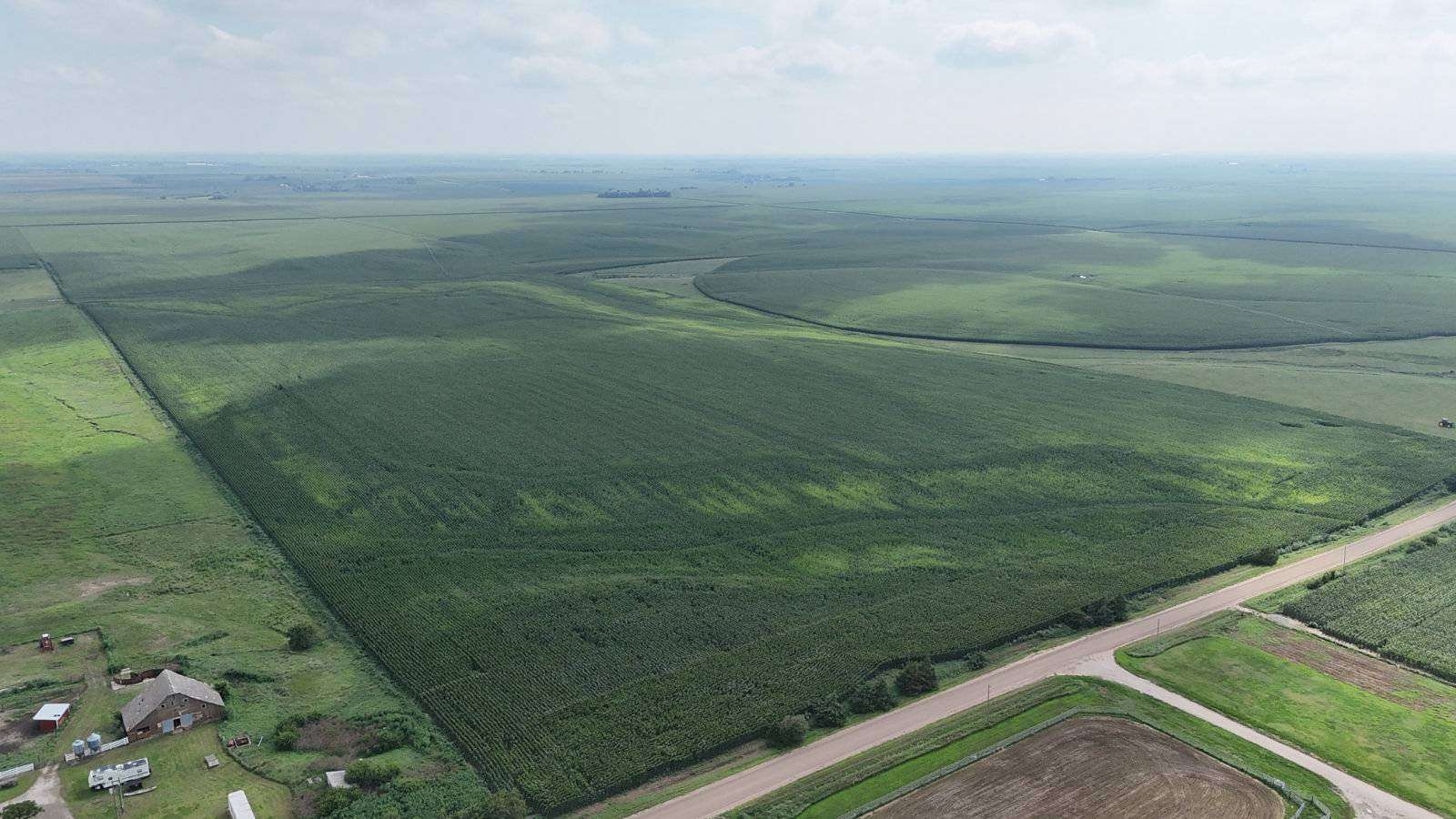 79.8 Acres of Agricultural Land for Sale in Sutton, Nebraska