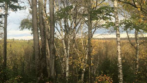 1.37 Acres of Residential Land for Sale in Sault Ste. Marie, Michigan