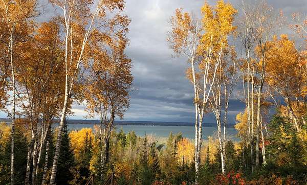 1.29 Acres of Residential Land for Sale in Sault Ste. Marie, Michigan