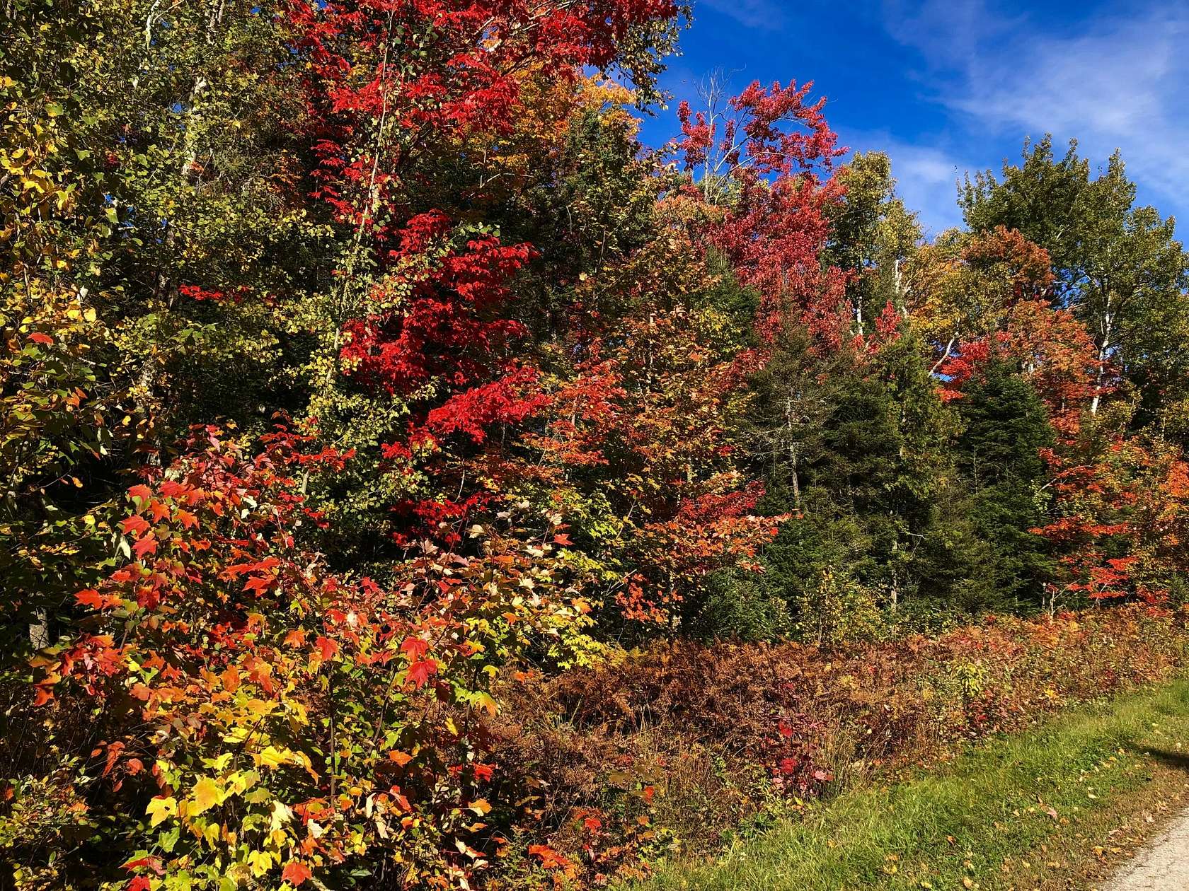 1.23 Acres of Residential Land for Sale in Sault Ste. Marie, Michigan