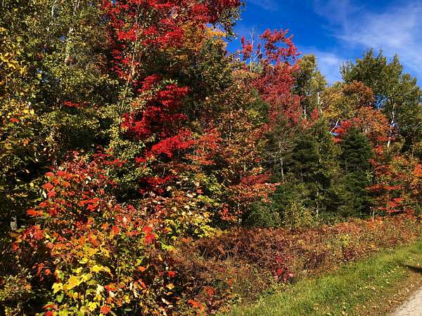 1.23 Acres of Residential Land for Sale in Sault Ste. Marie, Michigan