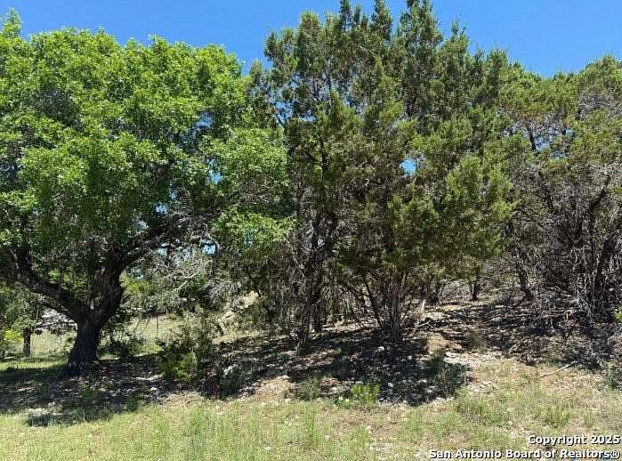 0.22 Acres of Residential Land for Sale in Canyon Lake, Texas