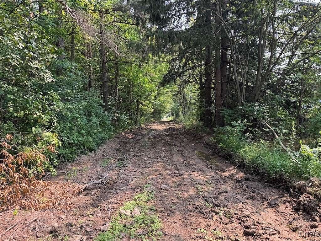 59 Acres of Recreational Land for Sale in East Concord, New York