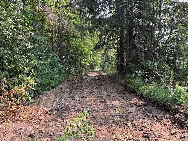 59 Acres of Recreational Land for Sale in East Concord, New York