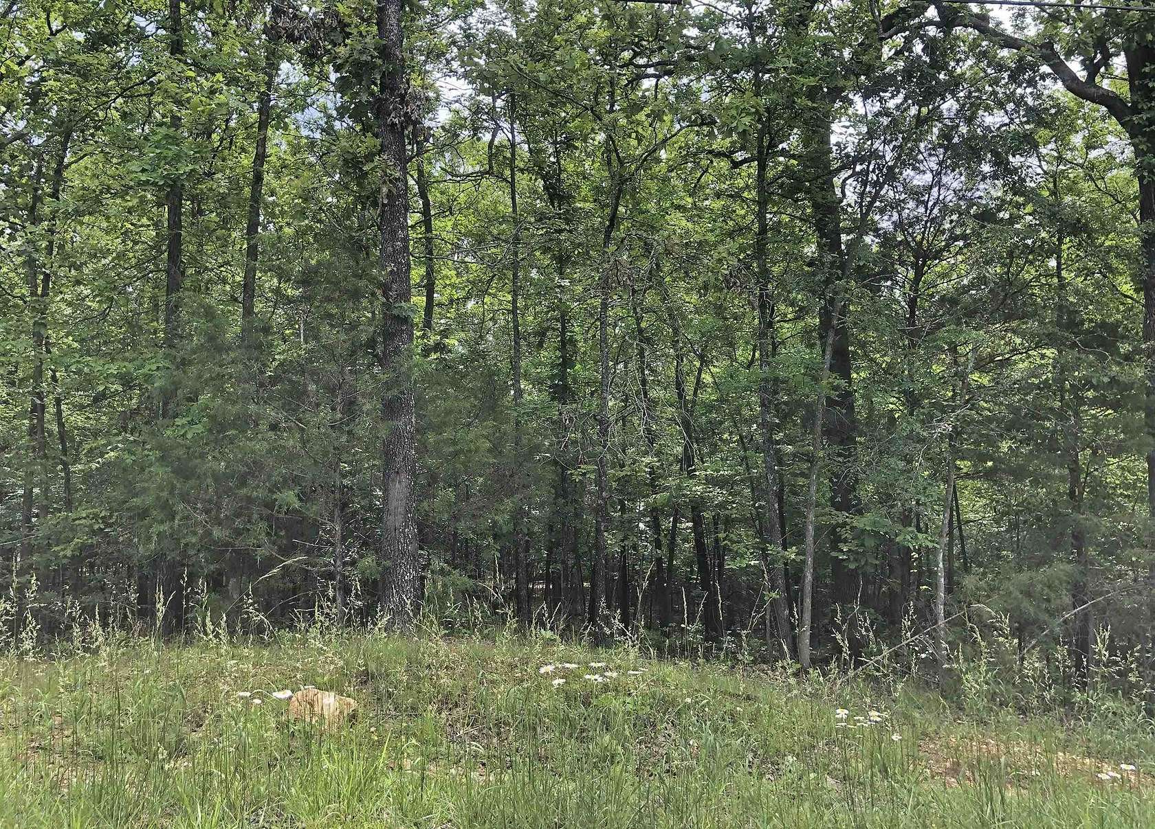1.2 Acres of Residential Land for Sale in Cherokee Village, Arkansas