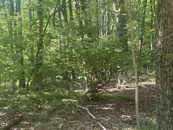 1.28 Acres of Residential Land for Sale in Farwell, Michigan